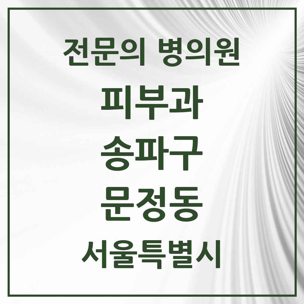 2025 서울특별시 송파구 문정동 피부과 전문의 의원·병원 목록 5곳