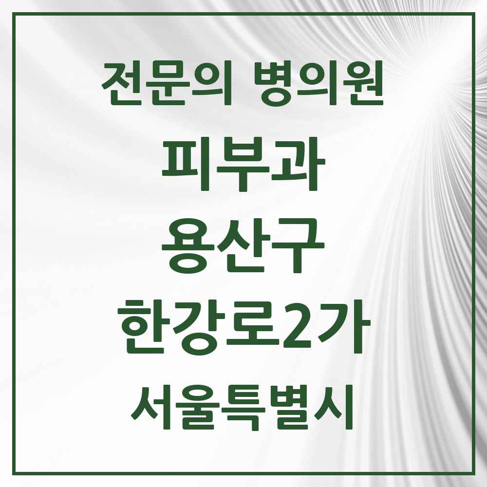 2025 서울특별시 용산구 한강로2가 피부과 전문의 의원·병원 목록 2곳