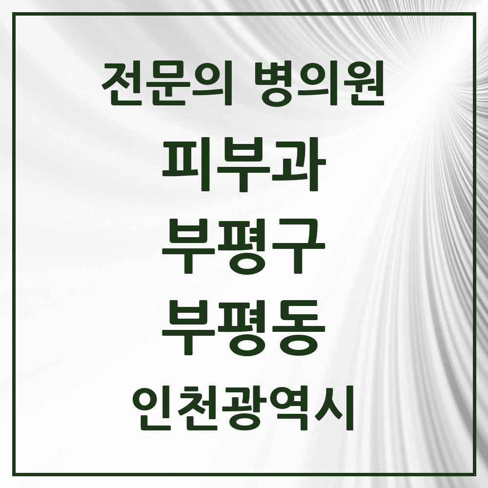 2025 인천광역시 부평구 부평동 피부과 전문의 의원·병원 목록 8곳