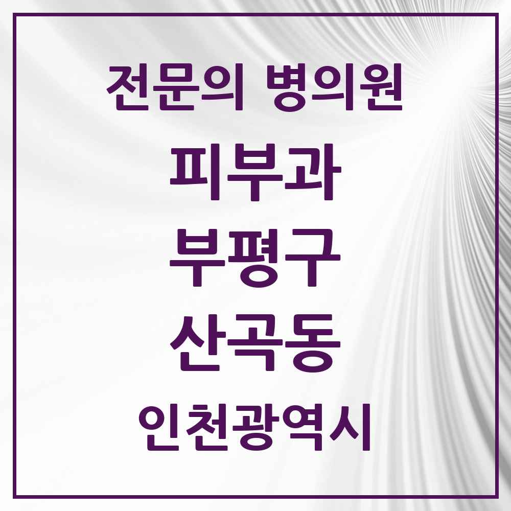 2025 인천광역시 부평구 산곡동 피부과 전문의 의원·병원 목록 2곳