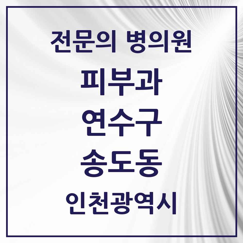 2025 인천광역시 연수구 송도동 피부과 전문의 의원·병원 목록 9곳