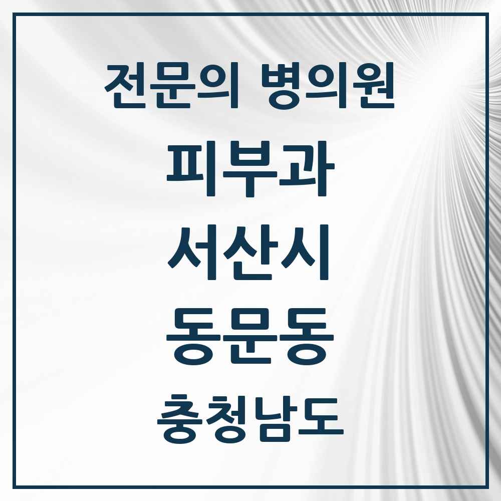 2025 충청남도 서산시 동문동 피부과 전문의 의원·병원 목록 2곳