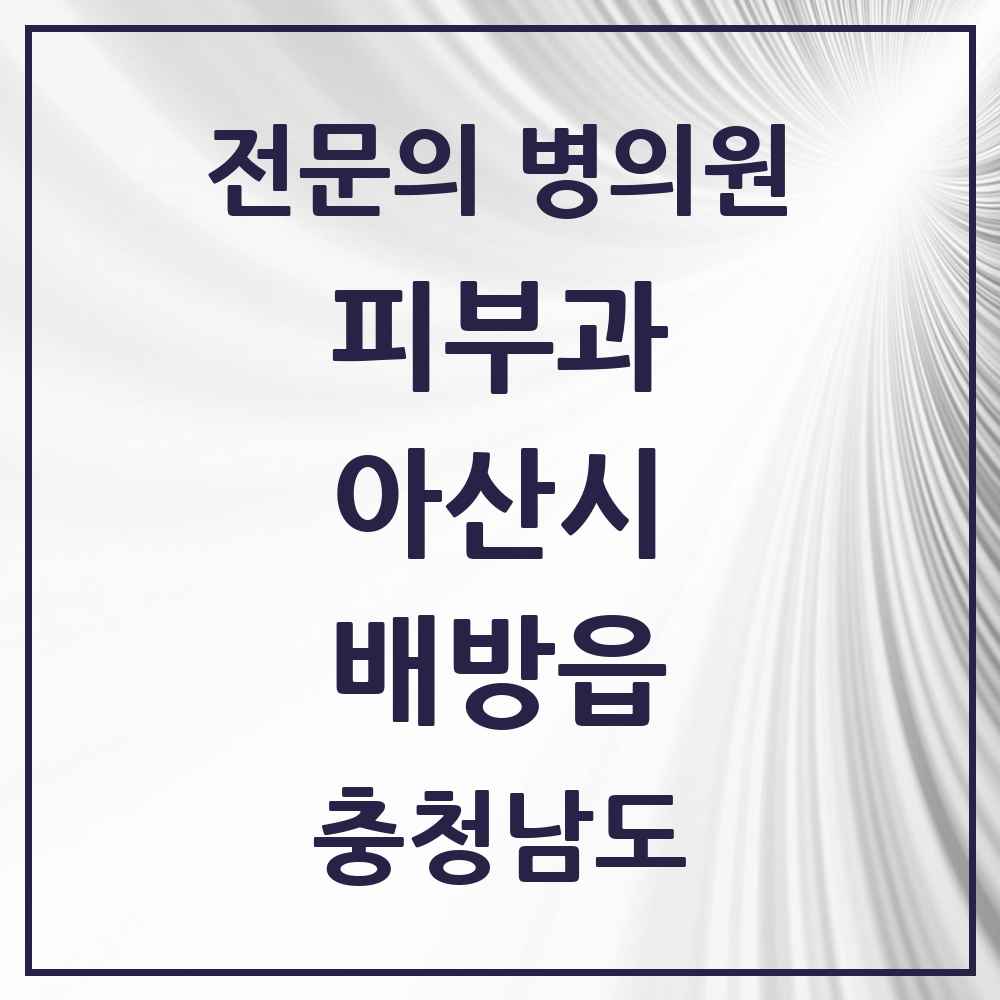2025 충청남도 아산시 배방읍 피부과 전문의 의원·병원 목록 1곳