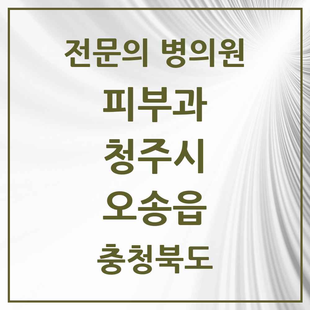 2025 오송읍 피부과 전문의 의원·병원 모음 1곳 | 충청북도 청주시 추천 리스트