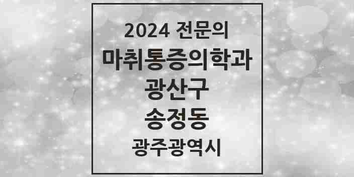 2024 송정동 마취통증의학과 전문의 의원·병원 모음 5곳 | 광주광역시 광산구 추천 리스트