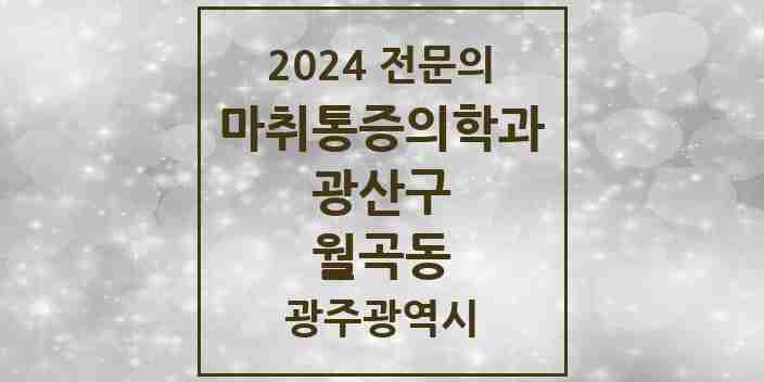 2024 월곡동 마취통증의학과 전문의 의원·병원 모음 1곳 | 광주광역시 광산구 추천 리스트