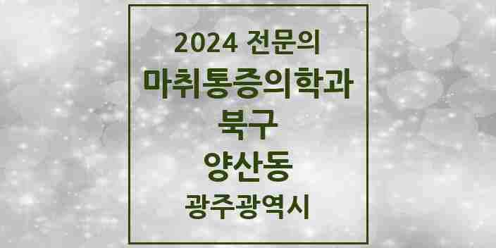 2024 양산동 마취통증의학과 전문의 의원·병원 모음 3곳 | 광주광역시 북구 추천 리스트