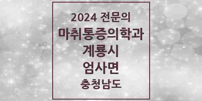 2024 엄사면 마취통증의학과 전문의 의원·병원 모음 1곳 | 충청남도 계룡시 추천 리스트