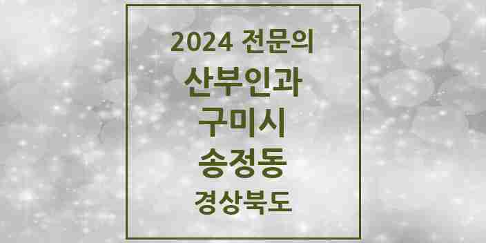 2024 송정동 산부인과 전문의 의원·병원 모음 1곳 | 경상북도 구미시 추천 리스트