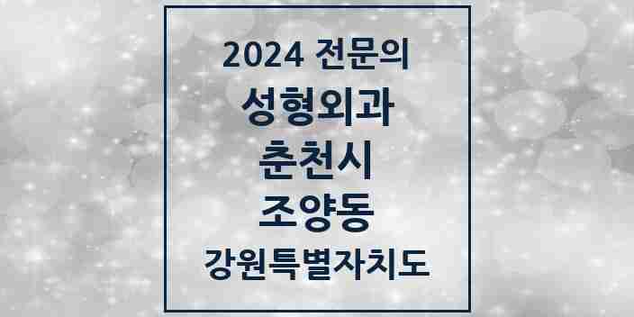 2024 조양동 성형외과 전문의 의원·병원 모음 | 강원특별자치도 춘천시 리스트