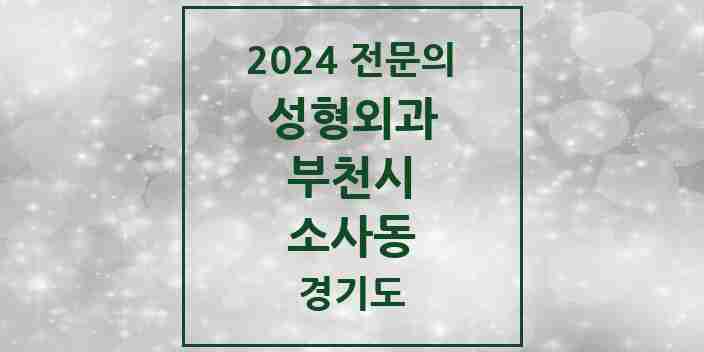 2024 소사동 성형외과 전문의 의원·병원 모음 | 경기도 부천시 리스트