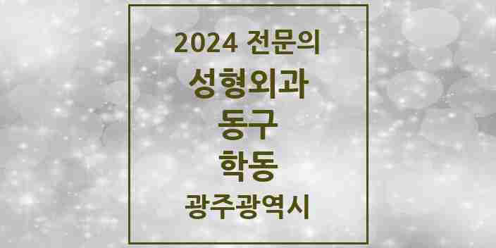 2024 학동 성형외과 전문의 의원·병원 모음 | 광주광역시 동구 리스트