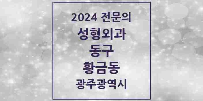 2024 황금동 성형외과 전문의 의원·병원 모음 | 광주광역시 동구 리스트