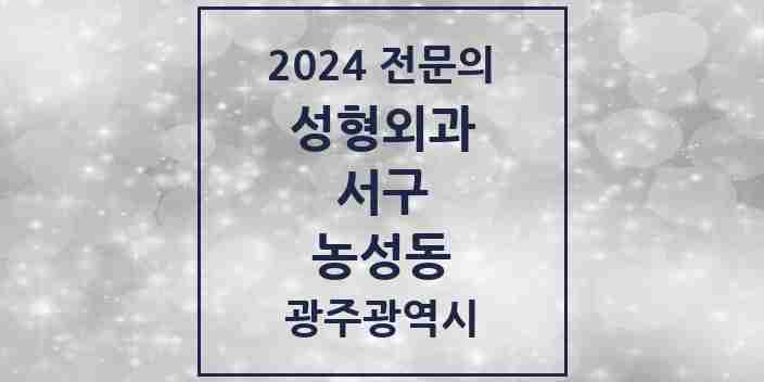 2024 농성동 성형외과 전문의 의원·병원 모음 8곳 | 광주광역시 서구 추천 리스트