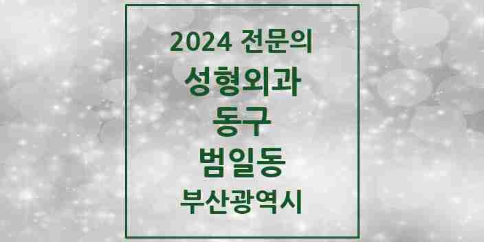 2024 범일동 성형외과 전문의 의원·병원 모음 1곳 | 부산광역시 동구 추천 리스트