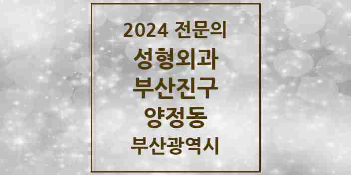 2024 양정동 성형외과 전문의 의원·병원 모음 1곳 | 부산광역시 부산진구 추천 리스트