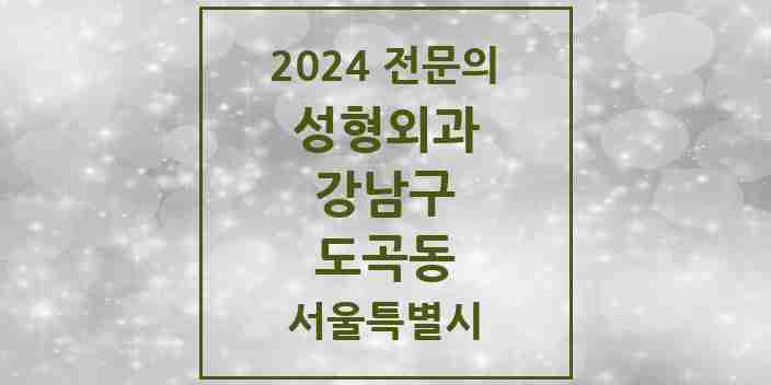 2024 도곡동 성형외과 전문의 의원·병원 모음 | 서울특별시 강남구 리스트