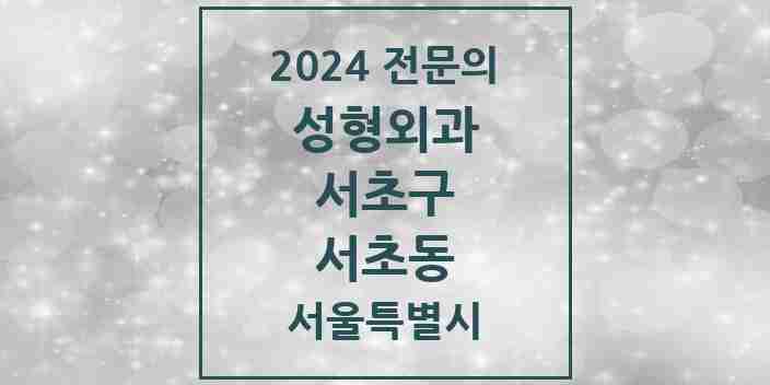 2024 서초동 성형외과 전문의 의원·병원 모음 | 서울특별시 서초구 리스트