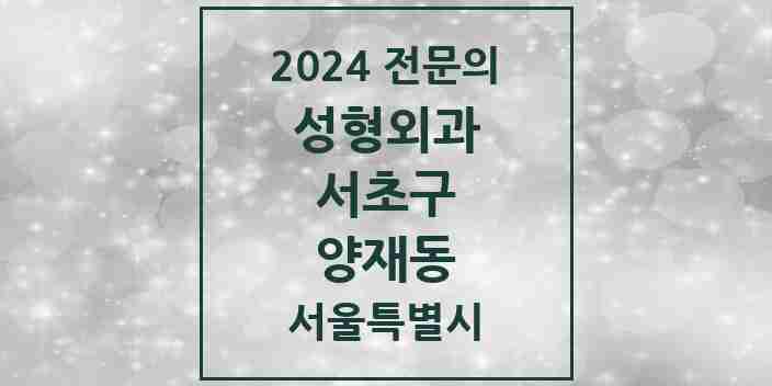 2024 양재동 성형외과 전문의 의원·병원 모음 | 서울특별시 서초구 리스트