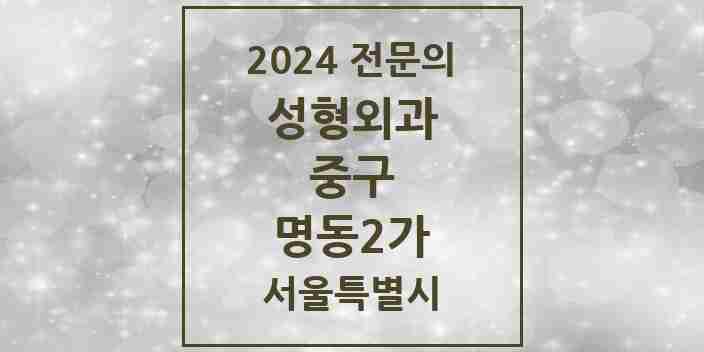 2024 명동2가 성형외과 전문의 의원·병원 모음 | 서울특별시 중구 리스트