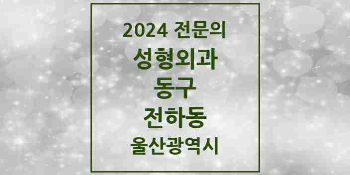 2024 전하동 성형외과 전문의 의원·병원 모음 | 울산광역시 동구 리스트