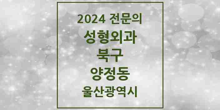 2024 양정동 성형외과 전문의 의원·병원 모음 | 울산광역시 북구 리스트