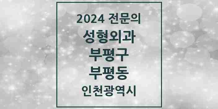 2024 부평동 성형외과 전문의 의원·병원 모음 | 인천광역시 부평구 리스트