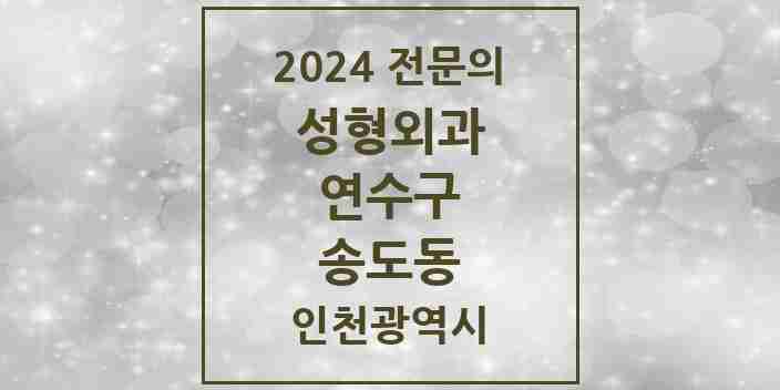 2024 송도동 성형외과 전문의 의원·병원 모음 9곳 | 인천광역시 연수구 추천 리스트