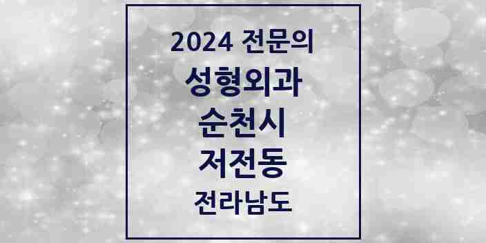 2024 저전동 성형외과 전문의 의원·병원 모음 1곳 | 전라남도 순천시 추천 리스트