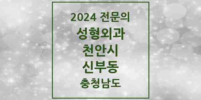 2024 신부동 성형외과 전문의 의원·병원 모음 5곳 | 충청남도 천안시 추천 리스트