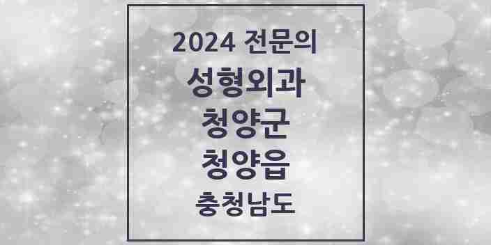 2024 청양읍 성형외과 전문의 의원·병원 모음 1곳 | 충청남도 청양군 추천 리스트