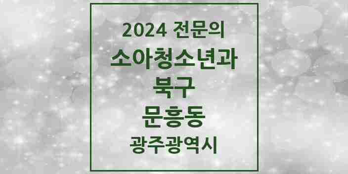 2024 문흥동 소아청소년과(소아과) 전문의 의원·병원 모음 1곳 | 광주광역시 북구 추천 리스트