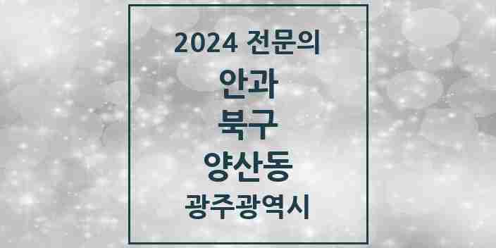 2024 양산동 안과 전문의 의원·병원 모음 | 광주광역시 북구 리스트