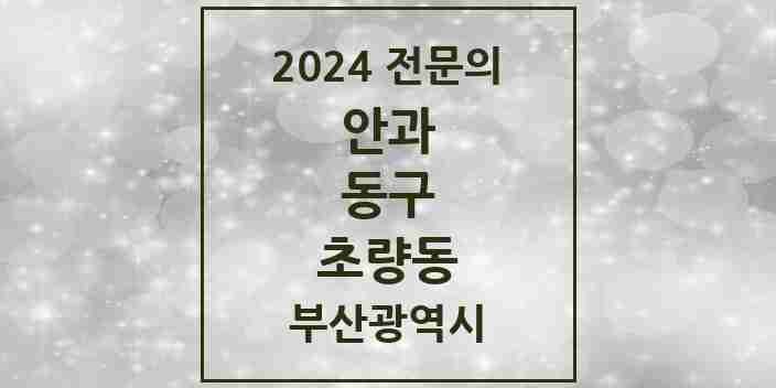 2024 초량동 안과 전문의 의원·병원 모음 | 부산광역시 동구 리스트