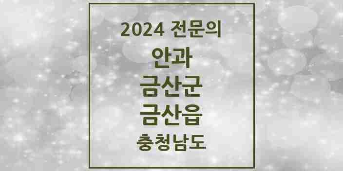 2024 금산읍 안과 전문의 의원·병원 모음 1곳 | 충청남도 금산군 추천 리스트