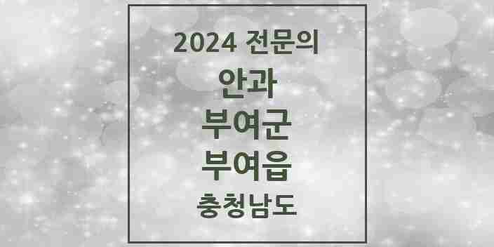 2024 부여읍 안과 전문의 의원·병원 모음 1곳 | 충청남도 부여군 추천 리스트