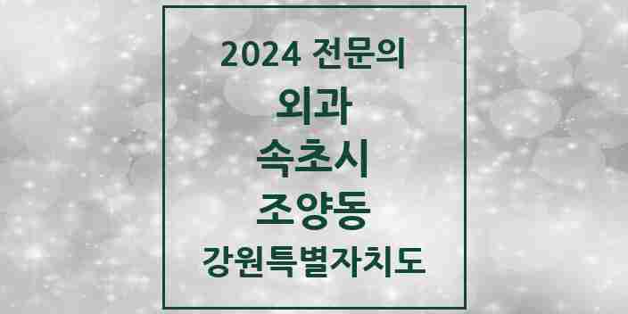 2024 조양동 외과 전문의 의원·병원 모음 2곳 | 강원특별자치도 속초시 추천 리스트