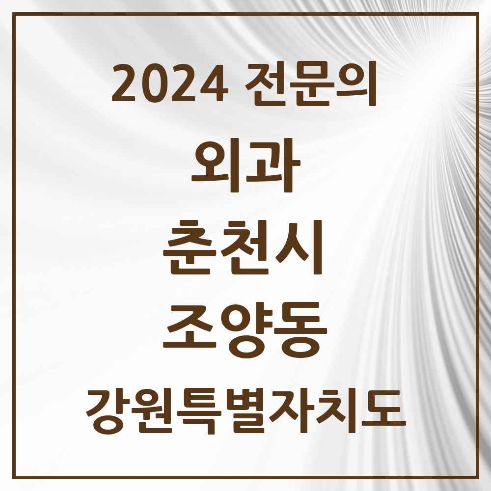 2024 조양동 외과 전문의 의원·병원 모음 1곳 | 강원특별자치도 춘천시 추천 리스트