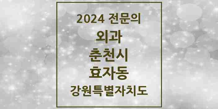 2024 효자동 외과 전문의 의원·병원 모음 | 강원특별자치도 춘천시 리스트