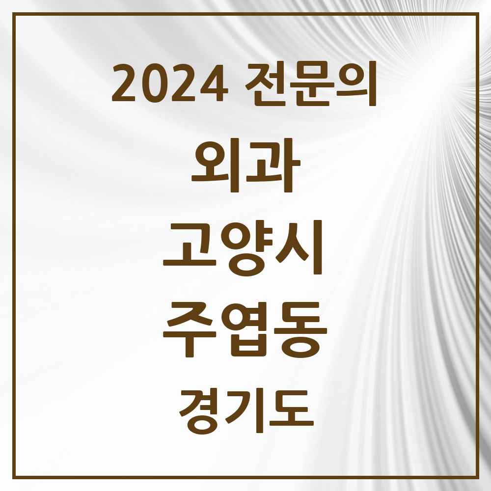 2024 주엽동 외과 전문의 의원·병원 모음 5곳 | 경기도 고양시 추천 리스트