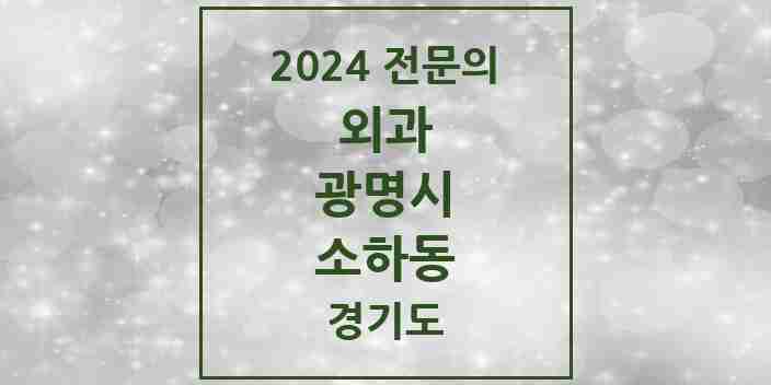 2024 소하동 외과 전문의 의원·병원 모음 | 경기도 광명시 리스트