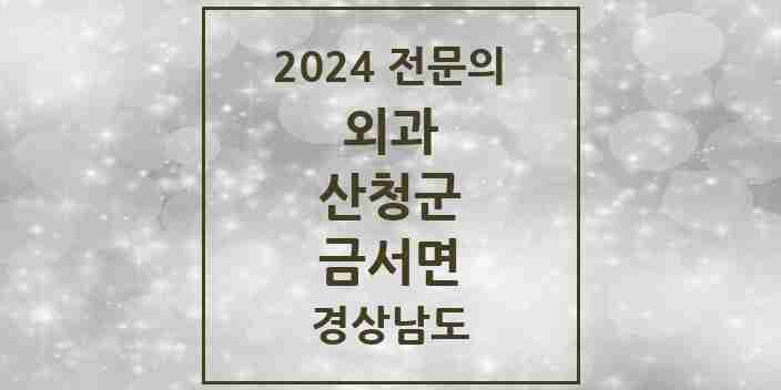 2024 금서면 외과 전문의 의원·병원 모음 1곳 | 경상남도 산청군 추천 리스트