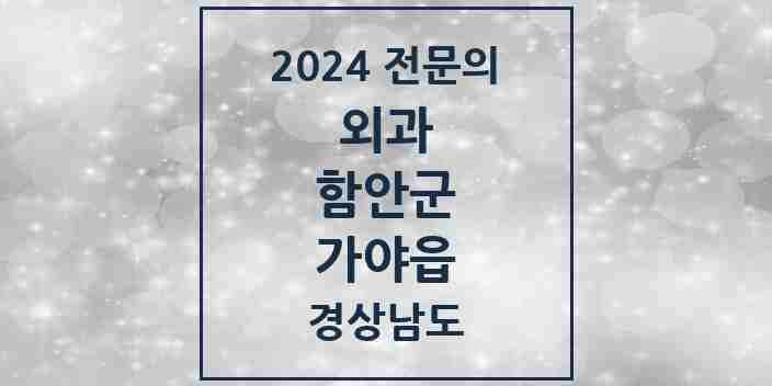 2024 가야읍 외과 전문의 의원·병원 모음 1곳 | 경상남도 함안군 추천 리스트