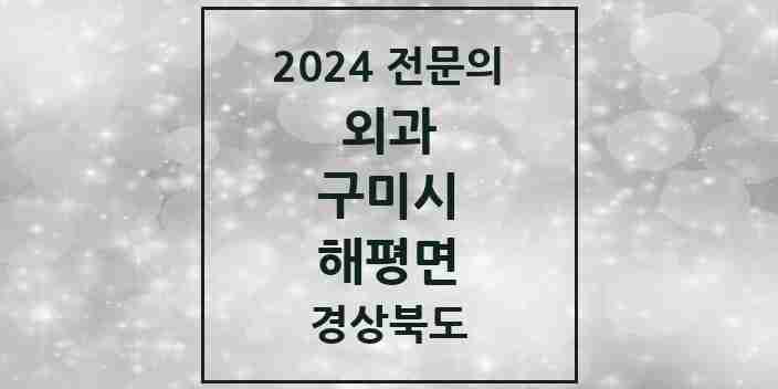 2024 해평면 외과 전문의 의원·병원 모음 1곳 | 경상북도 구미시 추천 리스트