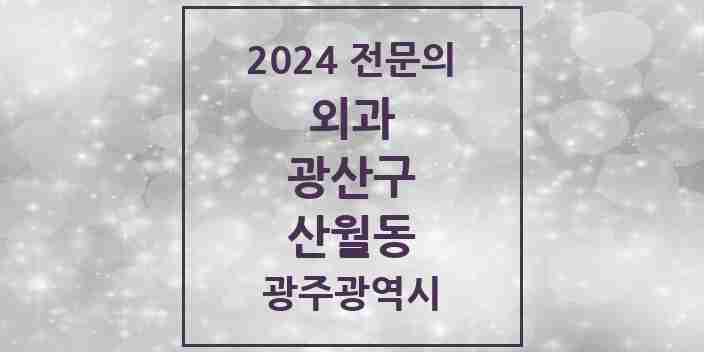 2024 산월동 외과 전문의 의원·병원 모음 1곳 | 광주광역시 광산구 추천 리스트