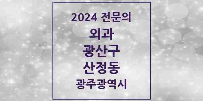 2024 산정동 외과 전문의 의원·병원 모음 1곳 | 광주광역시 광산구 추천 리스트