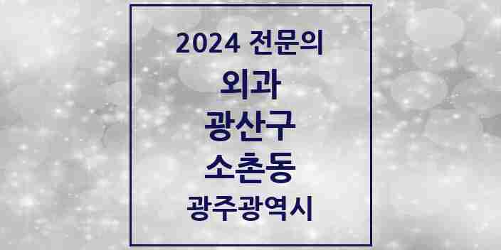 2024 소촌동 외과 전문의 의원·병원 모음 1곳 | 광주광역시 광산구 추천 리스트