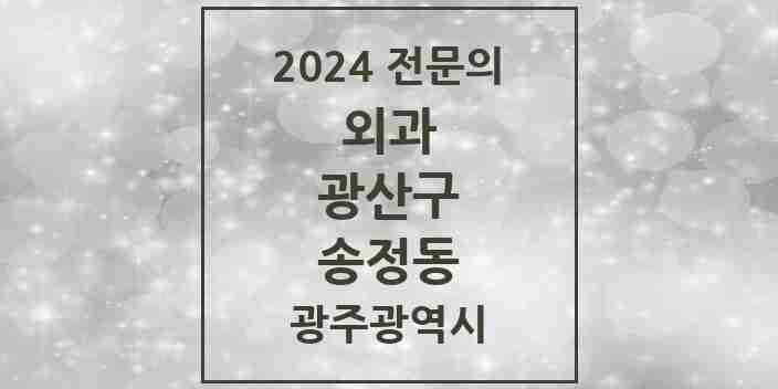 2024 송정동 외과 전문의 의원·병원 모음 2곳 | 광주광역시 광산구 추천 리스트