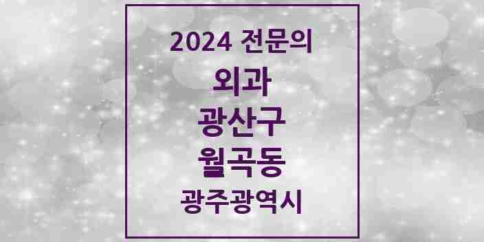 2024 월곡동 외과 전문의 의원·병원 모음 1곳 | 광주광역시 광산구 추천 리스트