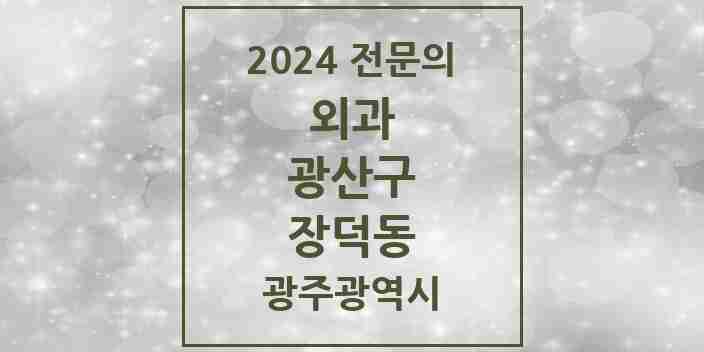 2024 장덕동 외과 전문의 의원·병원 모음 3곳 | 광주광역시 광산구 추천 리스트